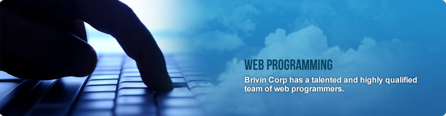 Web Programming